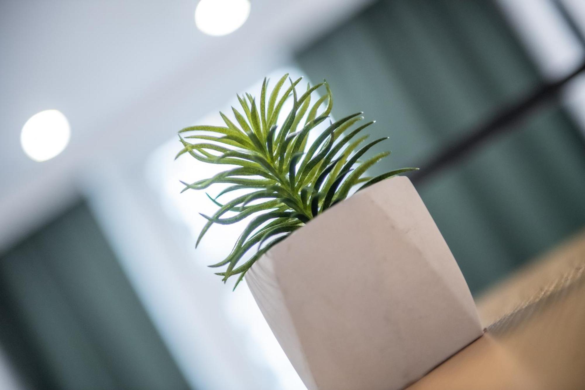 Apartament Lokietka グリヴィツェ エクステリア 写真